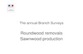 Roundwood removals Sawnwood production · 2004 Roundwood removals annual Branch Survey Reported wood energy removals (1000 m3) 2002 2003 2004 Logs 2 413 1 969 1 980 Chips 81 136 218