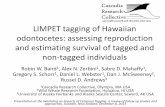 LIMPET tagging of Hawaiian estimating nonLIMPET tagging of Hawaiian odontocetes: assessing reproduction and estimating survival of tagged and non‐tagged individuals Robin 1W.