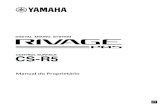 Manual do Proprietário - br.yamaha.com€¦ · Explanation of Graphical Symbols Explication des symboles The lightning flash with arrowhead symbol within an equilateral triangle