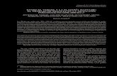 ENTRE EL VERGEL Y LA PLATERÍA MAPUCHE: EL TRABAJO DE ... · Entre El Vergel y la Platería Mapuche: el trabajo de metales en la Araucanía poscontacto (1550-1850 d.C.) 625 grupos