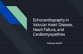 Echocardiography in Valvular Heart Disease, Heart Failure ... › sites › default › files › uploads › SerajianEchocardiography.pdfSevere vc > 0.7 volume > 60 rf >