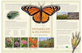 pollinators monarchHelp track monarch migration Since the 1970s, scientists have used a technique called "tagging" to study monarchs' migratory movements. This is done by gently applying