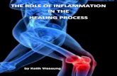 The role of Inflammation in the healing process · As more blood flows into the area local hyperemia (congestion with blood) occurs which accounts for the redness and the heat of