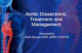 Aortic Dissections: Treatment and Management• Echocardiography is an important imaging modality for detecting aortic dissection. • MRI is as accurate as CT scanning in the diagnosis