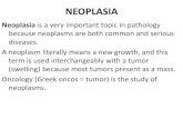NEOPLASIA - qu.edu.iqqu.edu.iq/den/wp-content/uploads/2015/10/Neoplasia.pdf · NEOPLASIA Neoplasia is a very important topic in pathology because neoplasms are both common and serious