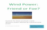 Wind Power: Friend or Foe? · Wind itself is abundant and free. Land for turbines is not. Wind energy requires huge land expenditures to produce a relatively small amount of energy.