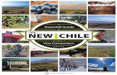 THE Essential Guide - Vine Connections › media › 2219 › chile... · LARGE CHILEAN PRODUCERS vs. THE NEW CHILE CHILEAN IMPORTS TO THE US | RETAIL PRICE TO THE US CHILEAN IMPORTS