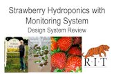 Strawberry Hydroponics with Monitoring Systemedge.rit.edu/edge/P18419/public/System Designs Review.pdf · Water Temperature Sensor 1 $9.95 Water Flow Sensor 1 $9.95 pH Sensor 1 $110.00