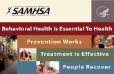 Promising Practices in Disaster Behavioral Health (DBH ... · Emerging Best Practices • State liability coverage is in State statutes. • District teams’ structure is in State