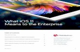 What iOS 11 Means to the Enterprise - MobileIron · 2019-12-12 · 1 What iOS 11 Means to the Enterprise MKT EN-US v1.1 Table of Contents Executive Summary Expanding the foundation