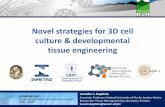 Novel strategies for 3D cell culture & developmental ...metrologia.org.br › eventos › pan2018_palestras › SECTION... · Novel strategies for 3D cell culture & developmental