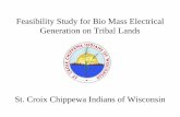 Feasibility Study for Biomass Electrical Generation on ... · Feasibility Study for Bio Mass Electrical Generation on Tribal Lands St. Croix Chippewa Indians of Wisconsin. Background