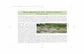 13 two gardens - Hardy Plant Society two... · than enjoy. A great shame, for often hidden delights are missed. How many have visited the Welsh Marches, its hidden backwaters and