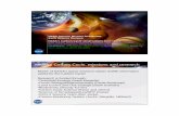NASA Science Mission Directorate Earth Science Division NASA … · 2016-01-27 · NASA Science Mission Directorate Earth Science Division NASA’s Carbon-Cycle observations from