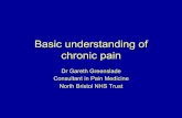 Basic understanding of chronic pain - PSNC Main sitepsnc.org.uk/.../06/Basic-Understanding-of-Chronic-Pain.pdf · 2014-04-01 · Basic understanding of chronic pain Dr Gareth Greenslade