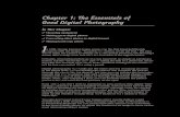 Chapter 1: The Essentials of Good Digital Photography · The Essentials of Good Digital Photography Knowing What Equipment You Need 11 Any digital camera costing a couple hundred