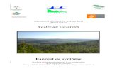 Vallée du Galeizon€¦ · Biotope, C.S.P., O.N.C.F.S., C.R.P.F., Chambre d’agriculture du Gard Directions Départementales de l’Agriculture et de la Forêt du Gard et de la
