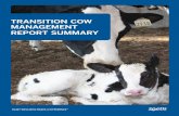 TRANSITION COW MANAGEMENT REPORT SUMMARY · The Transition Cow Management Report (TCMR) is a management tool to help you benchmark the effectiveness of your transition cow programs