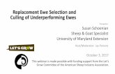 Replacement Ewe Selection and Culling of Underperforming Ewes ·  · 2017-10-04Replacement Ewe Selection and Culling of Underperforming Ewes This webinar is made possible with funding