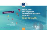 Blue Growth - Marine Institute Ireland › Home › sites › default › files › MIFiles... · 2018-02-22 · Blue Growth topics (2018-2019) Climate-Ocean Food and Oceans Marine