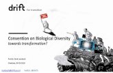 Convention on Biological Diversity · Convention on Biological Diversity towards transformation? Prof.dr. Derk Loorbach Chexbres, 04-03-2018 ... Sustainability Transitions Research