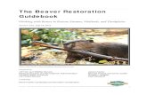 The Beaver Restoration Guidebook - United States Fish and ... · The Beaver Restoration Guidebook . Working with Beaver to Restore Streams, Wetlands, and Floodplains . Version 1.02,