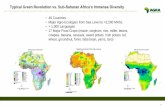 Typical Green Revolution vs. Sub-Saharan Africa’s Immense Diversity Library... · 2018-10-08 · 0 Typical Green Revolution vs. Sub-Saharan Africa’s Immense Diversity•49 Countries