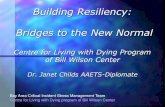 Building Resiliency: Bridges to the New Normal · Building Resiliency: Bridges to the New Normal Centre for Living with Dying Program of Bill Wilson Center Dr. Janet Childs AAETS-Diplomate