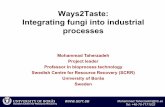 Ways2Taste: Integrating fungi into industrial processes · • Fungi that can: – Major product? Ethanol? – Consume pentoses and hexoses? – Produce hydrolytic enzymes? – Can