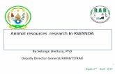 Animal resources research In RWANDA · Climate smart Brachiaria grass •Tolerate drought and acidic soils •Increase milk yield due to its nutritive values •Brachiaria grass offers