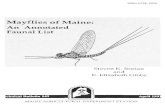 Mayflies of Maine: An Annotated Faunal Listlibrary.umaine.edu/MaineAES/TechnicalBulletin/tb142.pdfMayflies of Maine: An Annotated Faunal List Steven K. Burian Assistant Professor Department