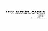 The Brain Audit - 5000bc sample/BrainAudit_32... · 2000-08-31 · print our articles and we have customers writing to editors of magazines about us and our products—it’s just