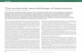 The molecular neurobiology of depression · 2020-02-19 · together with clinical data, are providing insight into the neurobiology of depression. Recent studies combining behavioural,