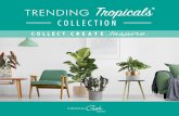 Collection by...2020/03/30  · they’ll grow well in the typical home. Some varieties in the Trending Tropicals® collection are so rare they’ll only be available for a limited