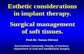 Esthetic considerations in implant therapy. Surgical ...semmelweis.hu/szajsebeszet/files/2017/02/Esthetic...in implant therapy. Surgical management of soft tissues. ... • implant