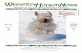 published by the Soft Coated Wheaten Terrier Club of ... of Soft Coated Wheaten Terriers. We absolutely
