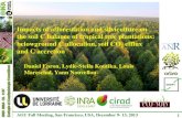 Impacts of afforestation and silviculture on the soil C ... · Impacts of afforestation and silviculture on the soil C balance of tropical tree plantations: belowground C allocation,