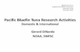 Pacific Bluefin Tuna Research Activities...Pacific Fisheries Marine Council Meeting, Garden Grove, CA November 14-19, 2015 Pacific Bluefin Tuna collections - 2015 Working with SAC