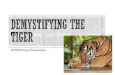 A CGM Group 5 Presentation - MCRHRDI of India.pdfA CGM Group 5 Presentation Why the Tiger Wild fact #1 – Conservation Value Wild Fact #2 – All Tigers Man-Eaters? Wild Fact #3 –