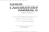 Guide for the Care and Use of Laboratory Animals: Eighth Edition … · 2020-05-15 · Guide for the Care and Use of Laboratory Animals: Eighth Edition The National Academy of Sciences