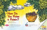 How Do You Raise a Raisin? - Pearson SuccessNet › temp-images › scorm › rdg10 › ... · 1 cup honey 1½ cups powdered milk 1 cup peanut butter 1½ cups graham cracker crumbs