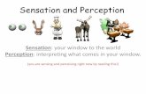 Sensation and Perception - Weebly 2020-03-19آ  Sensation and Perception Sensation: your window to the