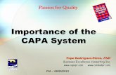 Importance of the CAPA System - bec-global.combec-global.com/.../Importance-of-the-CAPA-System.pdf · Purpose and Importance of the CAPA System The purpose of the corrective and preventive