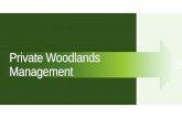 Private Woodlands Management - Wisconsin...Consulting Foresters. Begin subsidized work program with businesses. Work with schools and businesses to offering internships. The recession