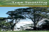 Tree Spotting - Mid and East Antrim Borough Council · Tree Spotting at Carnfunnock Country Park ... Like most landed estates Carnfunnock offered prestige to its wealthy owners, the