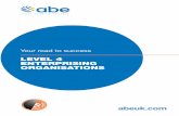 LEVEL 4 ENTERPRISING ORGANISATIONS · 2019-02-04 · Level 4 Enterprising Organisations 1.1 Type of organisations Public sector organisations These are generally funded by the government,