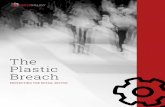 The Plastic Breach - infonaligy.com€¦ · In 2014, 81 percent of companies that Check Point researchers studied experienced a data loss. Data breaches worldwide increased 49% and