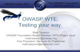 OWASP WTE: Testing your way. · A tool designed for brute-forcing web applications such as resource discovery, GET and POST fuzzing, etc EnDe An amazing collection of encoding and