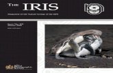 The Iris Winter 2008 - RPS · 26 Image Stacking using Helicon Focus by John Bebbington FRPS 28 Book Review Front Cover: Galapagos Penguins Courtship by Bob Pearson FRPS Publication