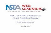 NES: Ultraviolet Radiation and Yeast: Radiation Biology · 5/23/2012  · Materials for Lesson 1. Yeast ‐Extract Dextrose media plates (from kit, can also be made) 2. UV‐sensitive
